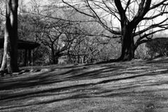 花の丘公園で ―1　