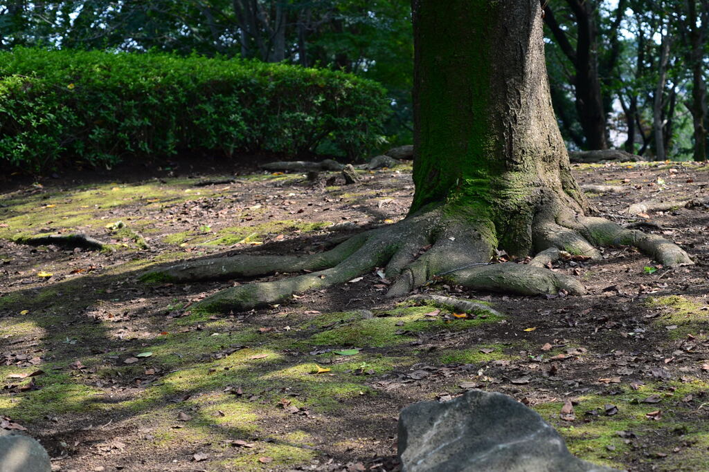 地に足を付けて―1