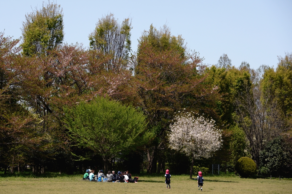 子供たちの楽園ー2