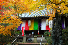 紅葉の 京都 ―1