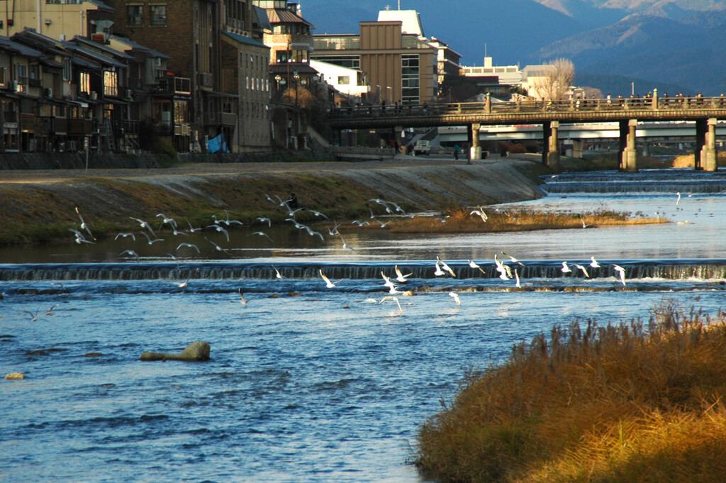 想い出 京都 ―1