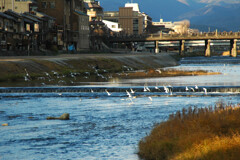 想い出 京都 ―1