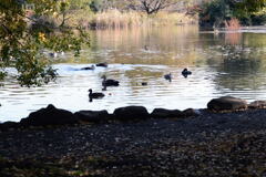 自然公園―2