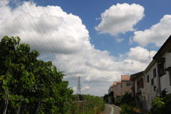 夏　日　ー1