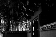 モノクロ試し　－1