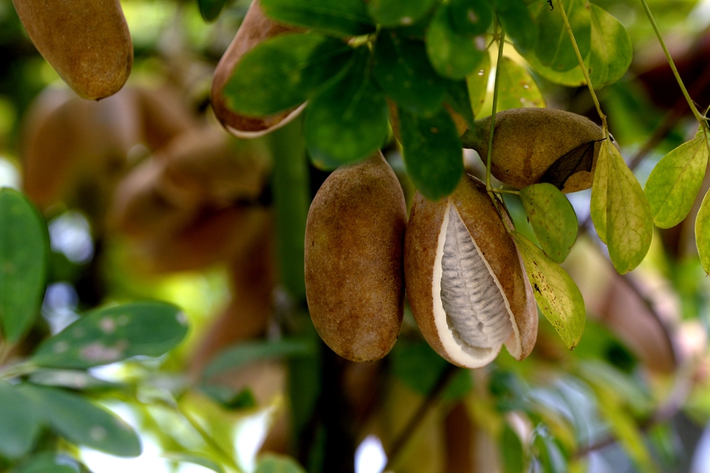 なんとなく秋　-3