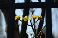 ご近所で—1