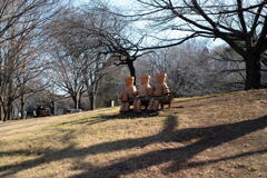  花の丘公園の 1月 ―2