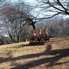  花の丘公園の 1月 ―2