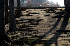 明日に向かいー1