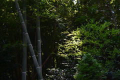明・暗　-2