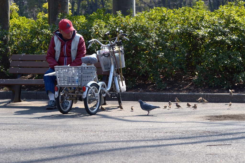 土曜日午後にー3