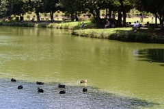 過ぎゆく夏ー１