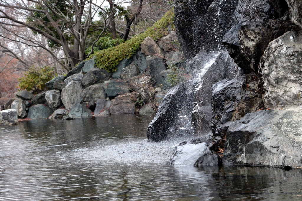 初冬の公園ー１