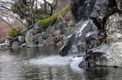 初冬の公園ー１