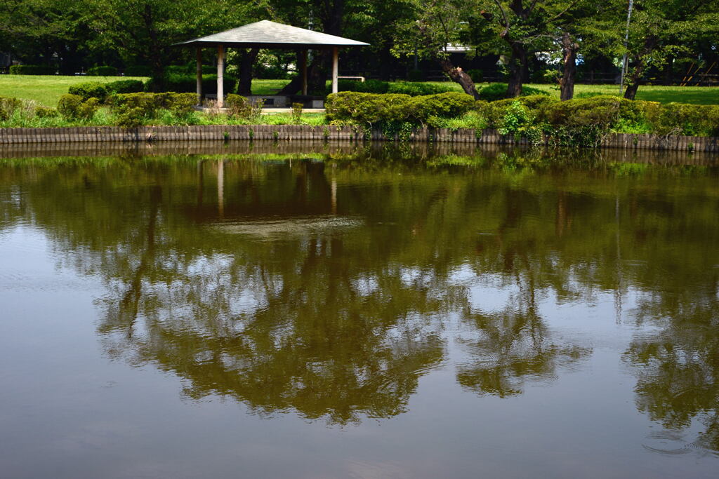  真夏の 静か ―1