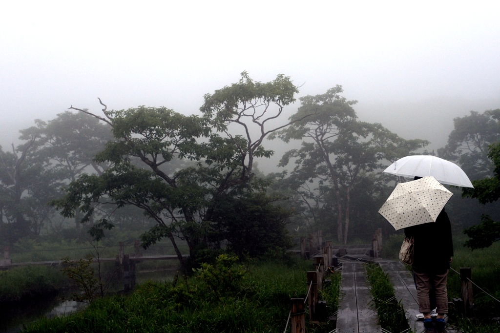那須　沼ﾂ原湿原で-3