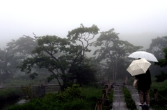 那須　沼ﾂ原湿原で-3