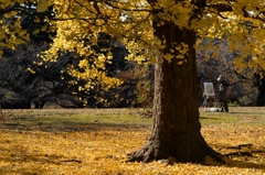 新宿御苑でー４