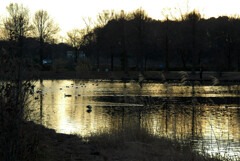 やすらぎの 時 ―1