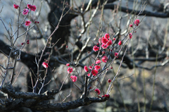 二月の思い出ー２