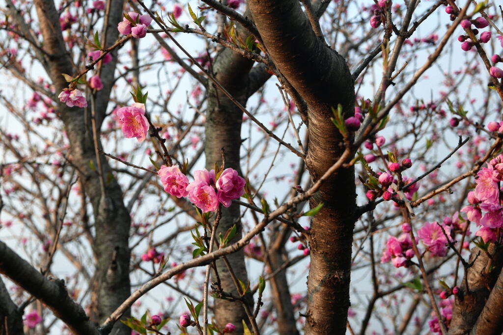  近くの児童公園で ―2