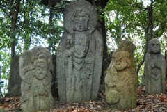 京都  石峯寺で ―1