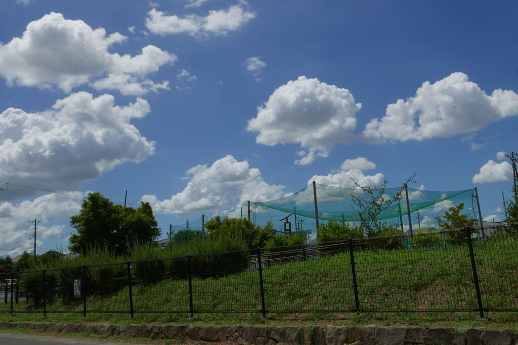 魅せられた 夏雲 ー8