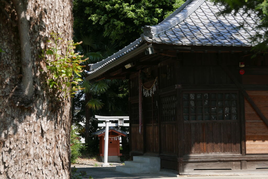  近所の神社で ー2