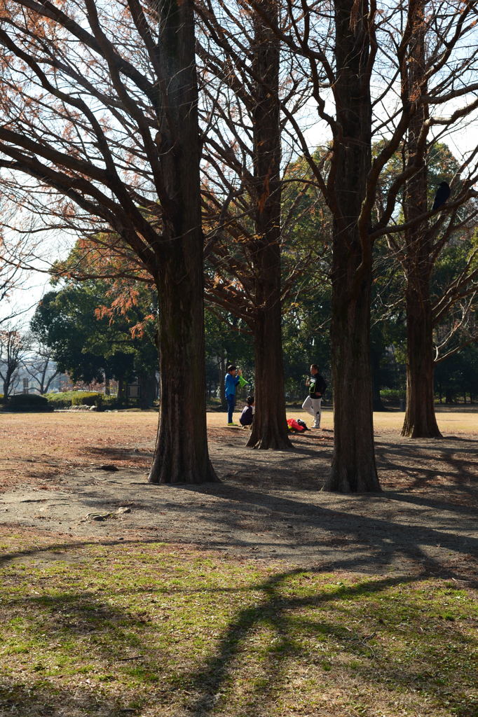 冬日和-4