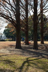 冬日和-4