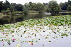 九月の自然公園－1