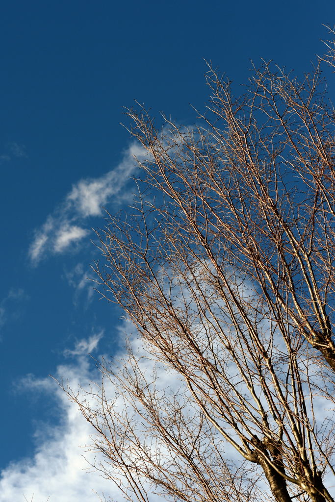 春の空－1