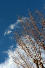 春の空－1