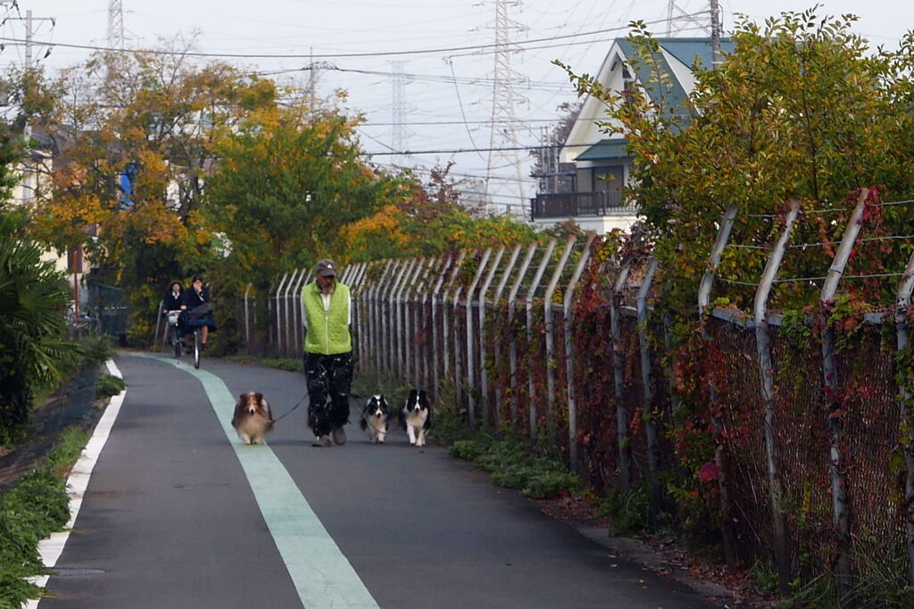 見沼用水の側道で ー1