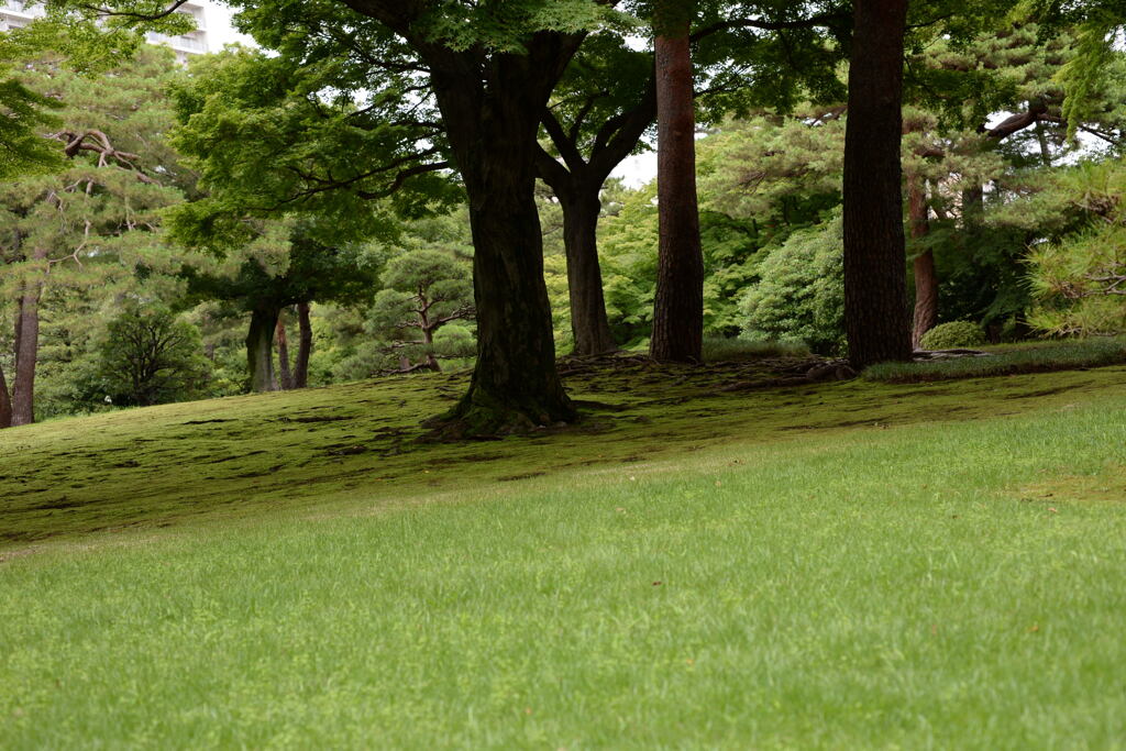 武蔵野の庭園－１