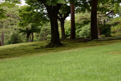 武蔵野の庭園－１