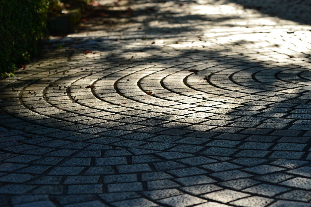 秋の路ー2
