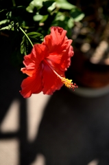 今年の写真から　