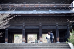 春待つ南禅寺ー1