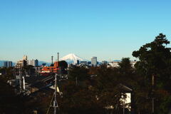 朝の富士山