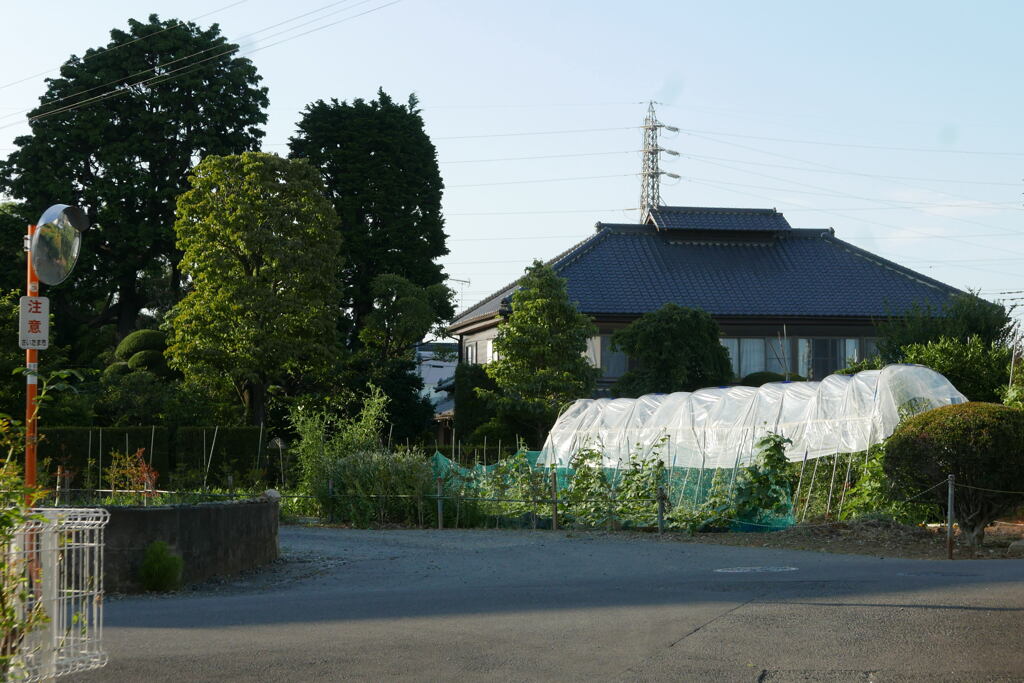 　近所の 小景ー1