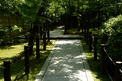 新緑の永観堂（京都）－7