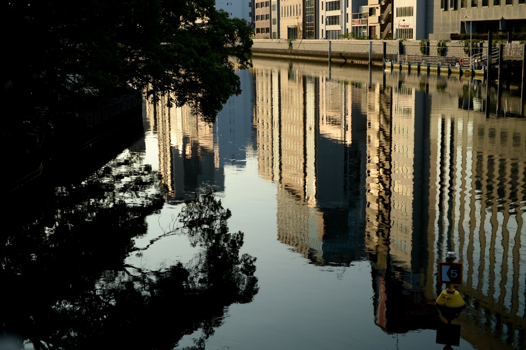 土佐堀川の朝ー1