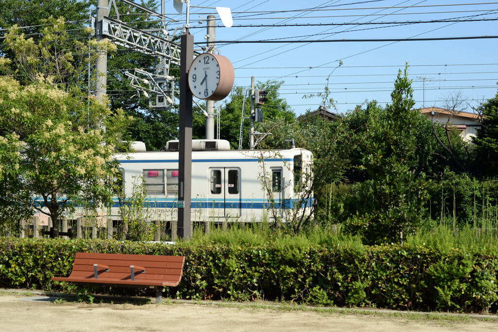 散歩の出会い－1