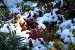 二度目の雪―2