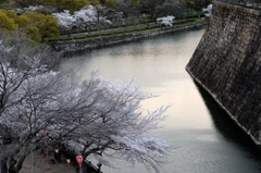 夜桜・大阪城ー２