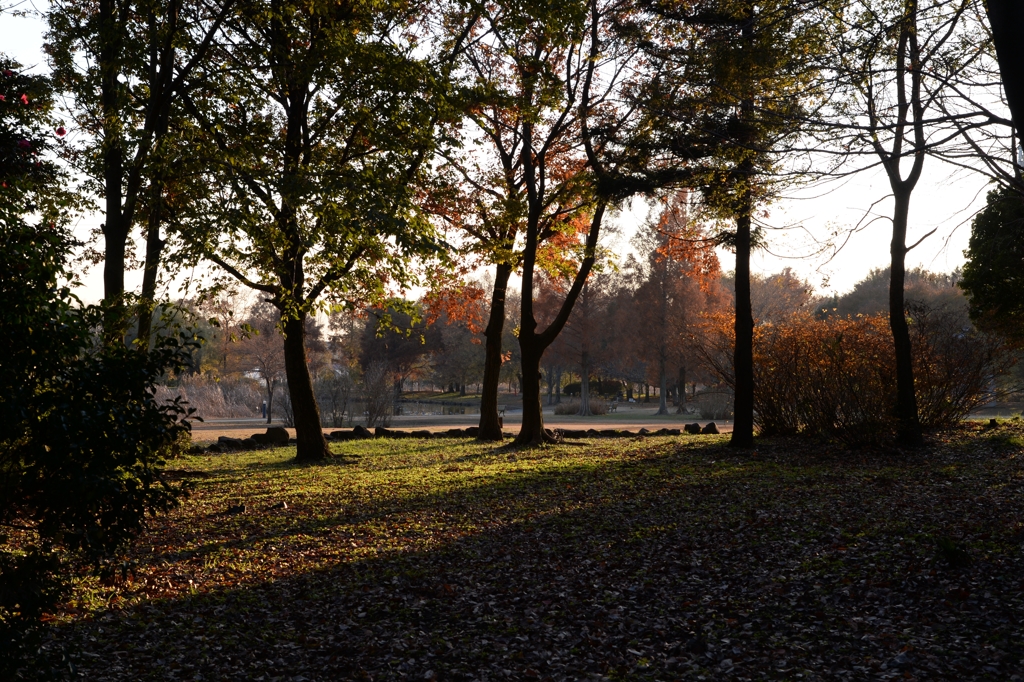 午後４時の見沼　ａ