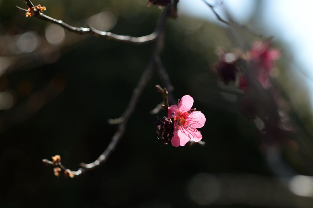 私の居場所―2