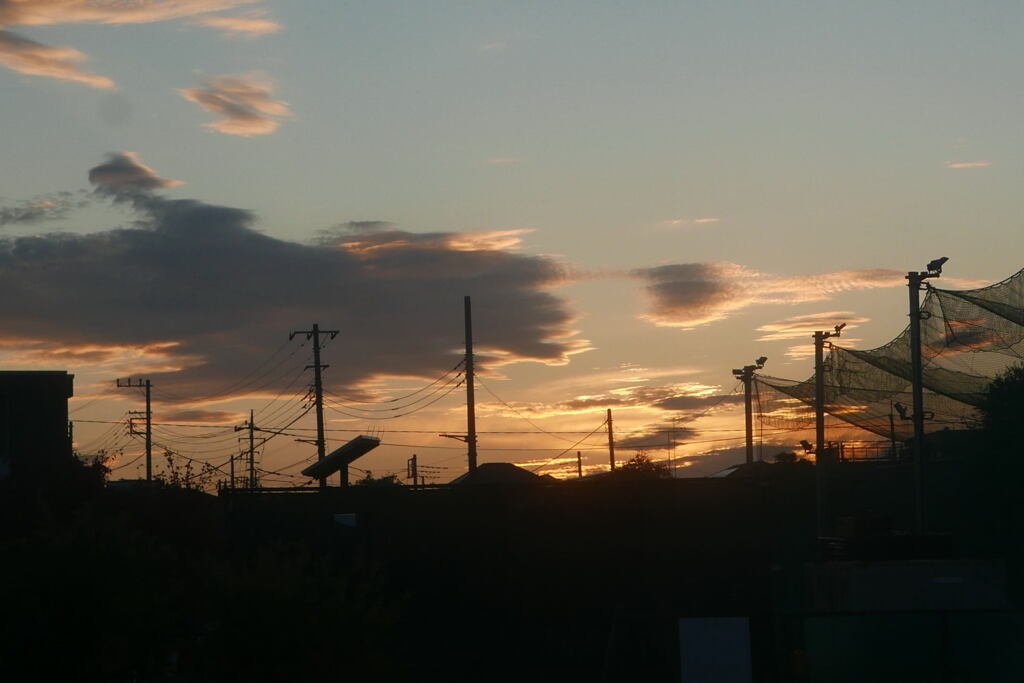 晩秋の 夕陽 ―2